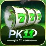 PK11 Game