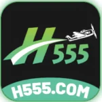 H555 Game