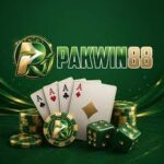PAKWIN88